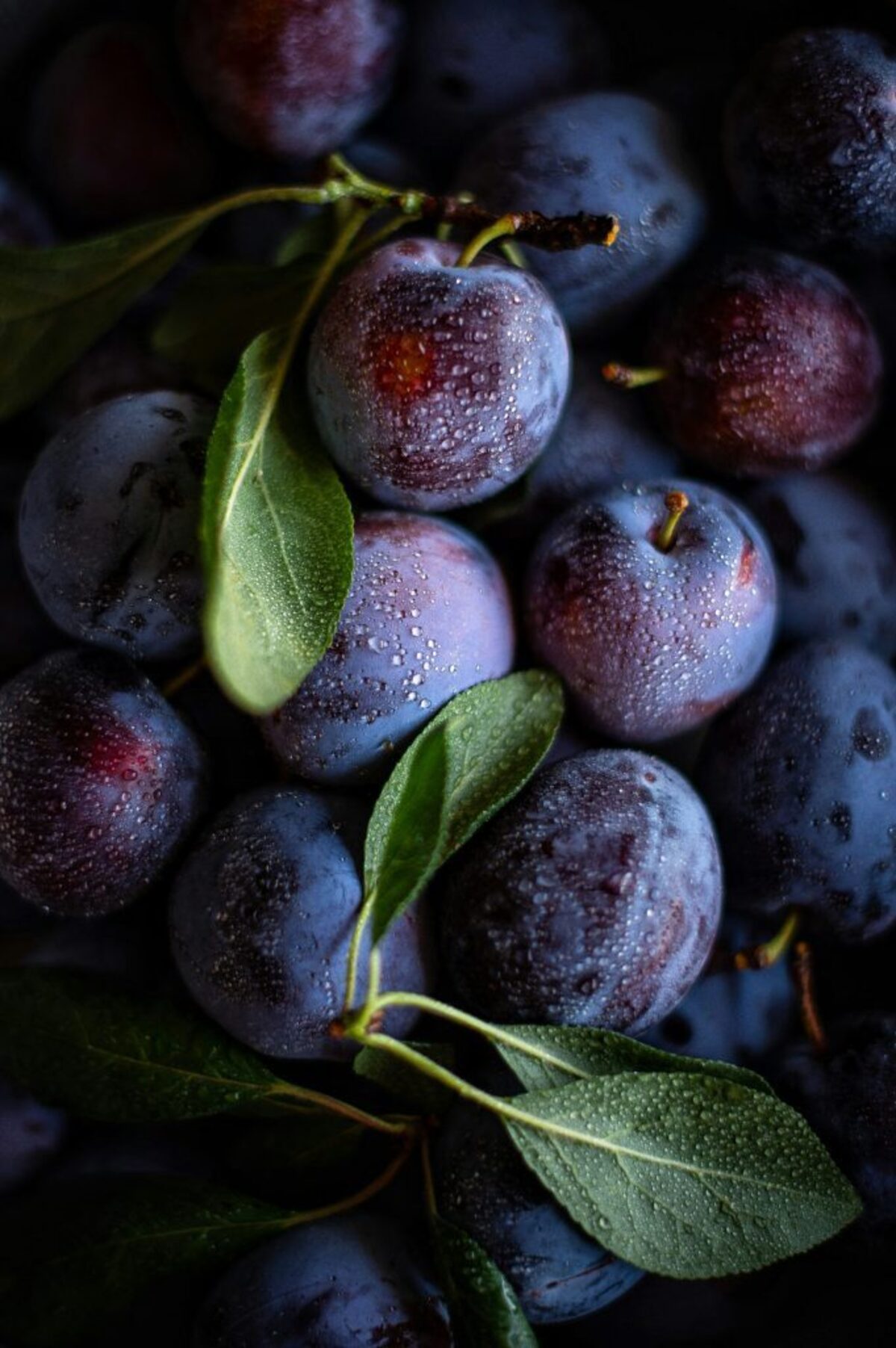  (Photo by Alexandra Kikot via Unsplash) 