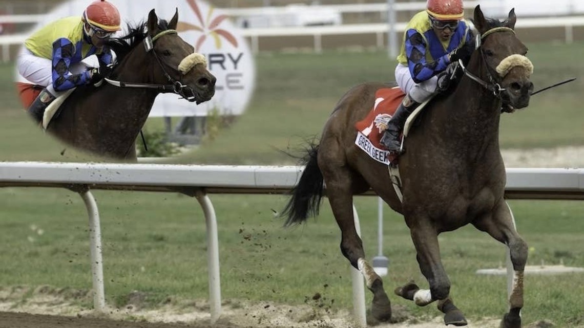 Alberta-Breds Will Be In The Spotlight For 30th Alberta Breeders' Fall Classic 