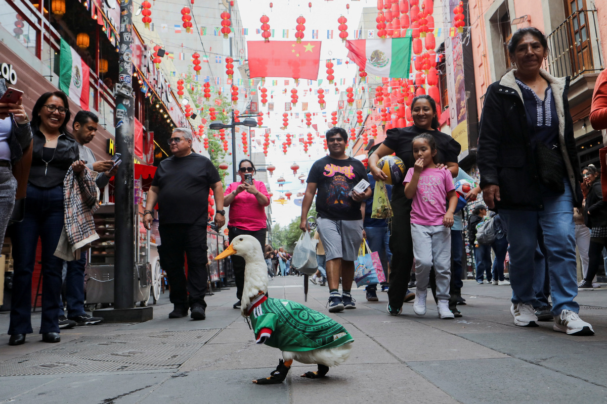 Merlin, a duck wearing a Mexico national football team ('El Tri') jersey, that shot to fame after a chance encounter on Reforma Avenue went viral following the FIFA 2026 match between Mexico and South Africa, walks in Chinatown in Mexico City, Mexico, June 16, 2026. REUTERS/Paola Garcia