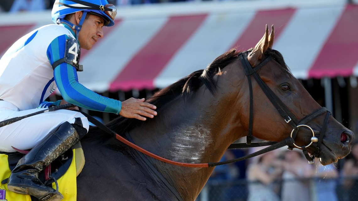 Report: Book'em Danno Could Miss Breeders' Cup Sprint 