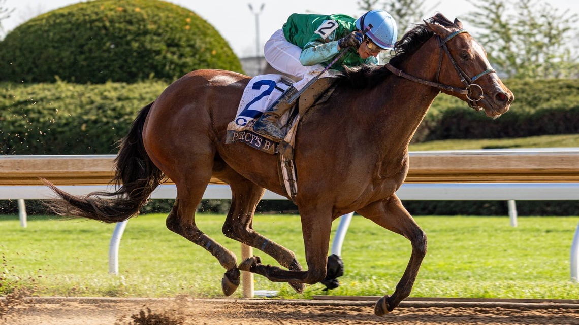 Grade 1 Winner Percy's Bar Features In Raven Run Stakes 