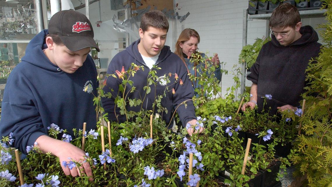 Getting boys in on climate action 