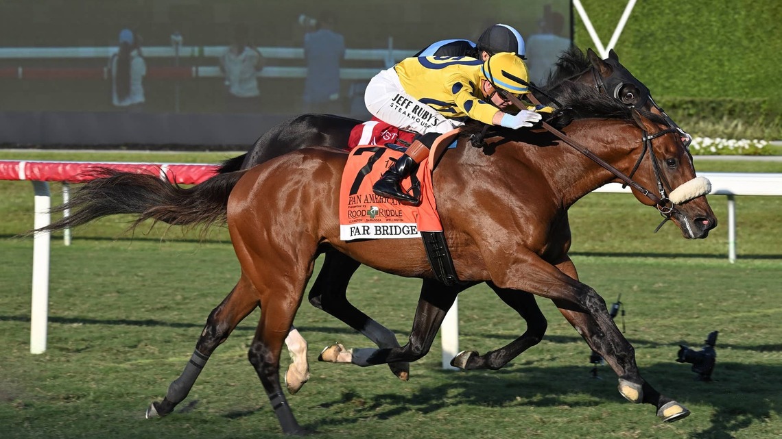 Far Bridge Bypasses Breeders' Cup Turf, Lambeth Unlikely 