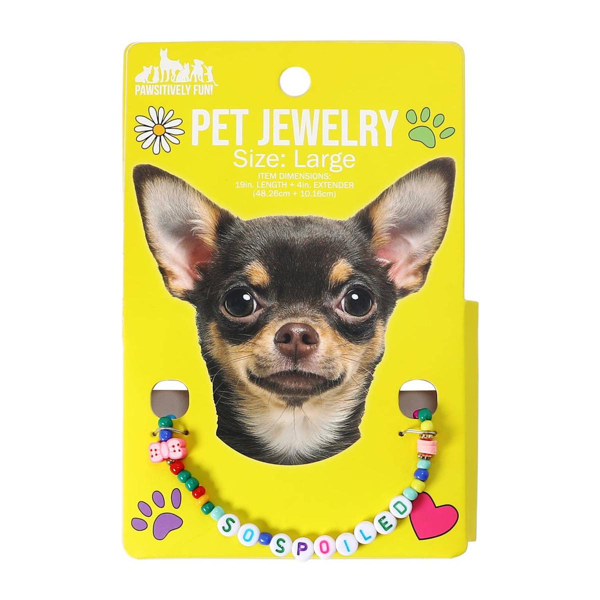  Pawsitively Fun! Large Pet Jewelry.