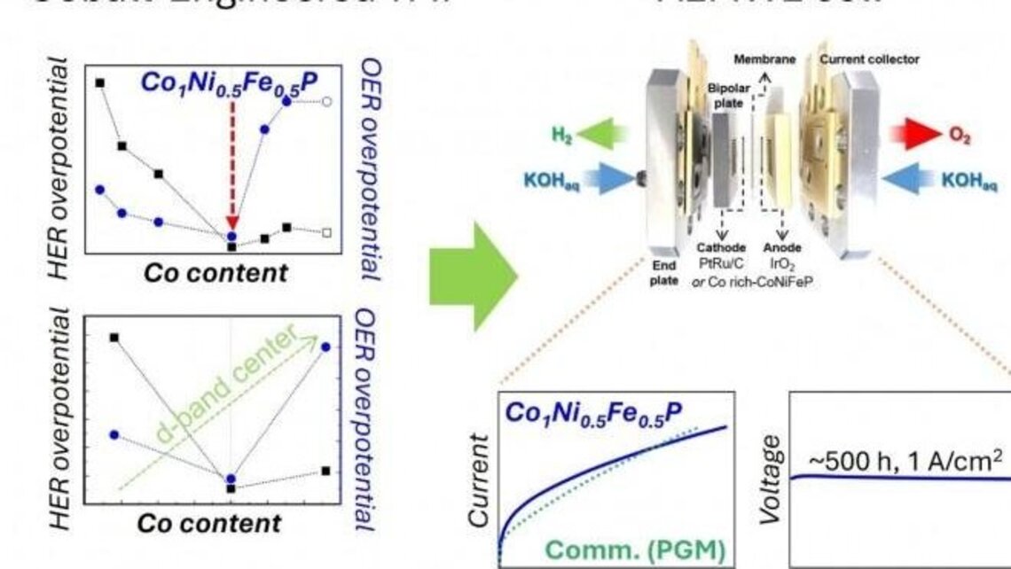 South Korean team develops low-cost green hydrogen catalyst 