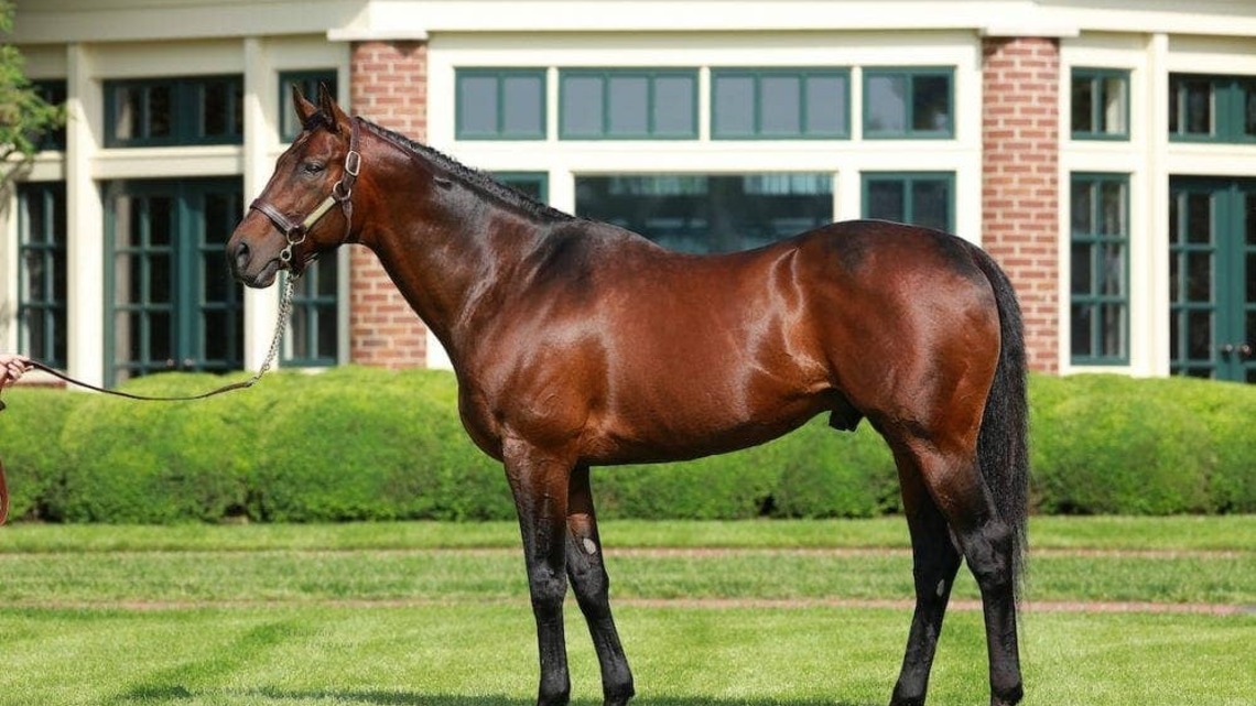 Quality Road Leads Lane's End Stallion Roster In 2027 