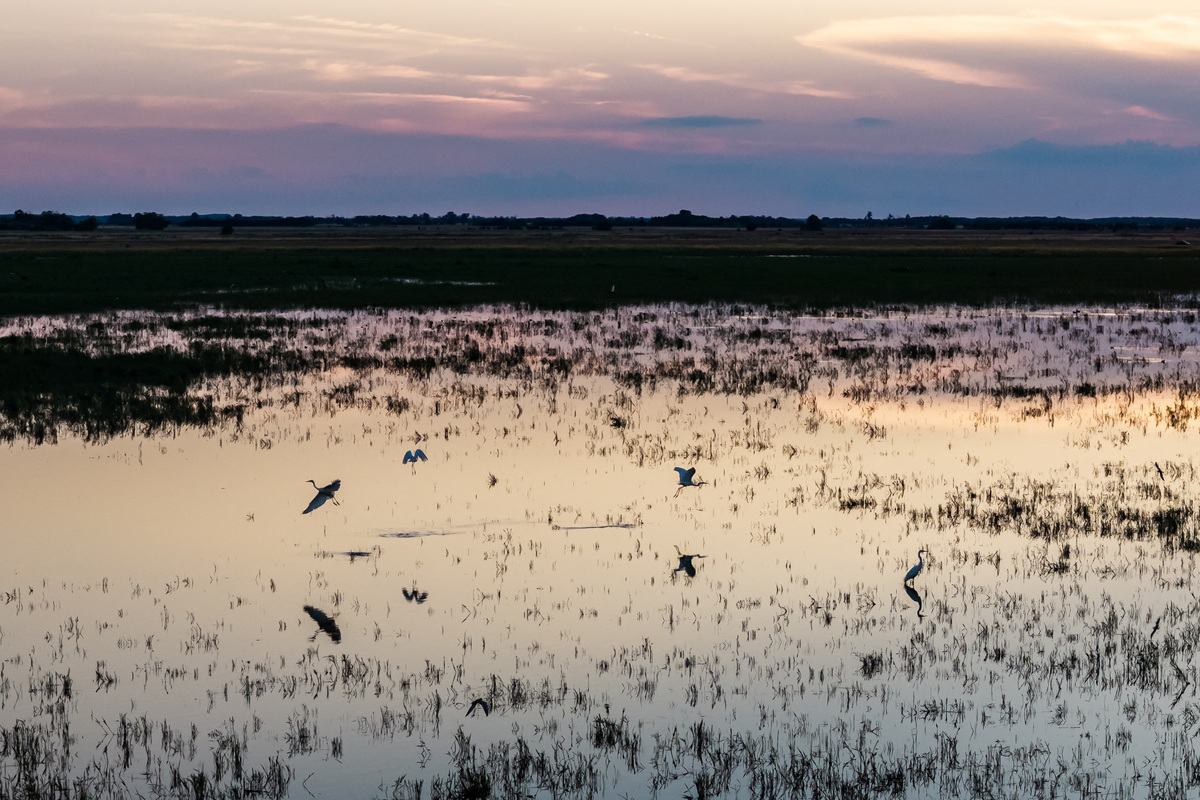 A drone view shows a flooded marshland at Hortobagy National Park near Tiszafured, Hungary, July 15, 2026. REUTERS/Marton Monus