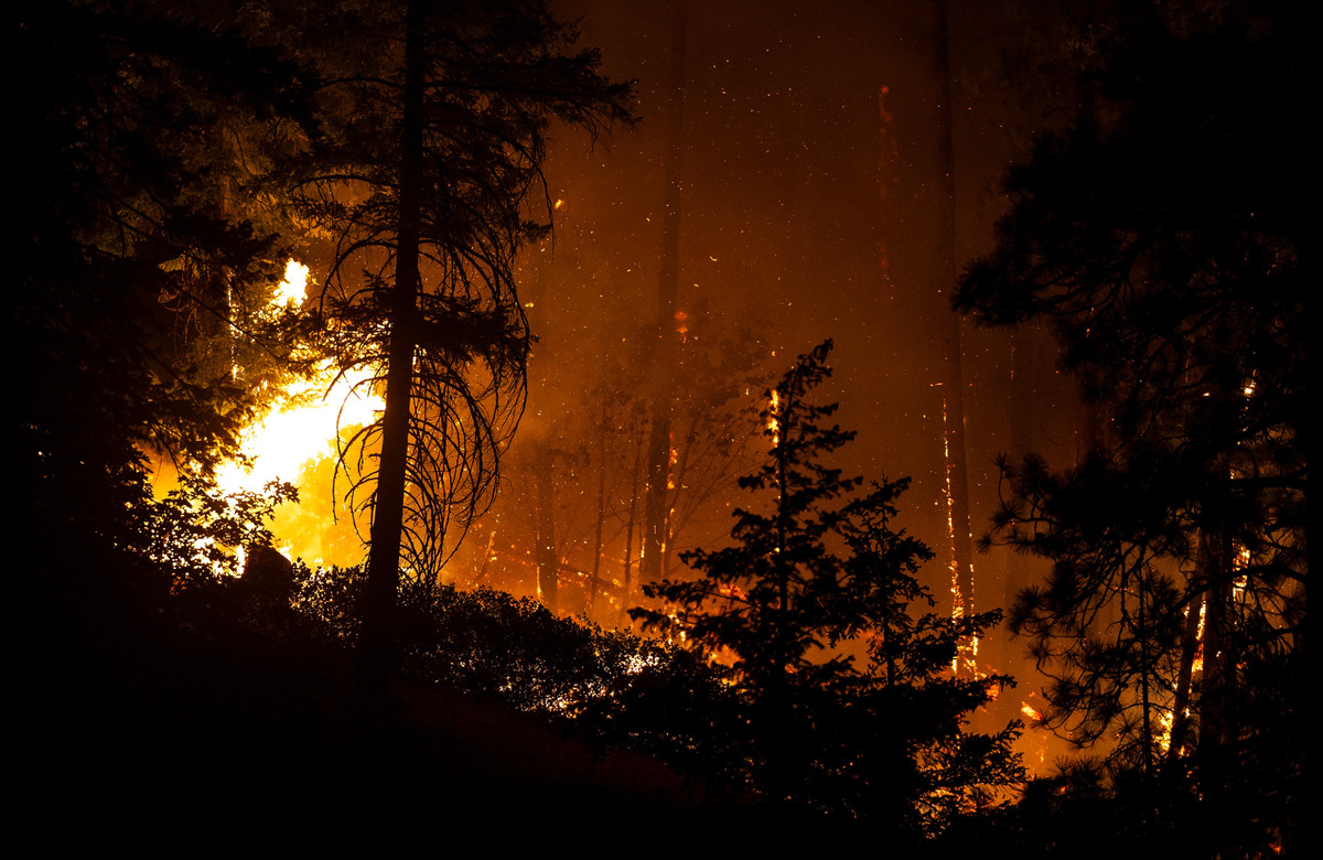 Fire burns through the forest above Stehekin, Tuesday, Aug. 6, 2024, in Chelan County, Washington.