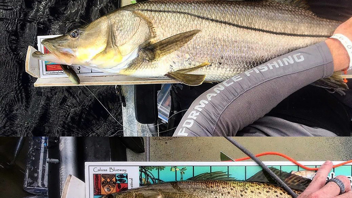 23rd Annual Calusa Blueway Fishing Tournament returns
