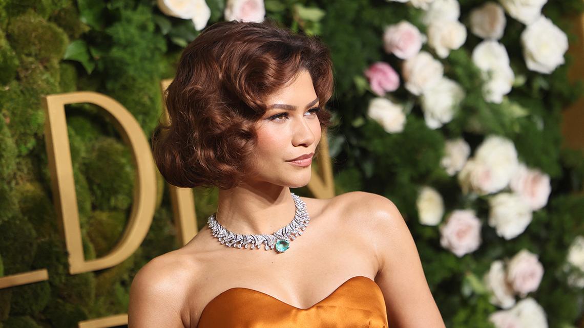 Zendaya Names One Big-Name Director She Wants to Work With Next 