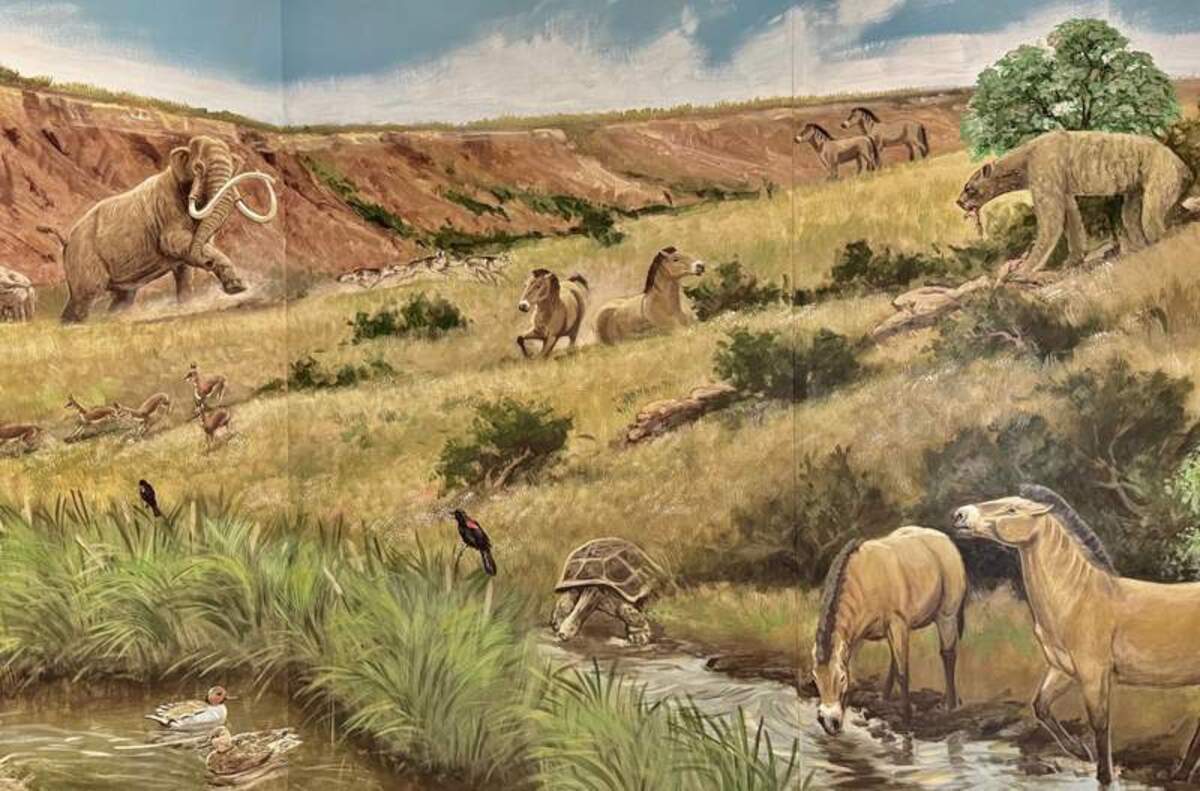  The mural imagines the look of animals whose bones were found by archeologists on the museum grounds. Photo credit: Christine Tibbetts 