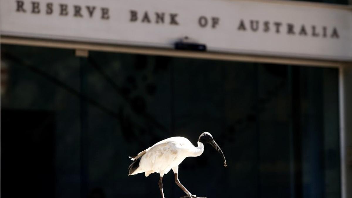 An ibis bird perches next to the Reserve Bank of Australia headquarters in central Sydney, Australia February 6, 2018. REUTERS/Daniel Munoz
