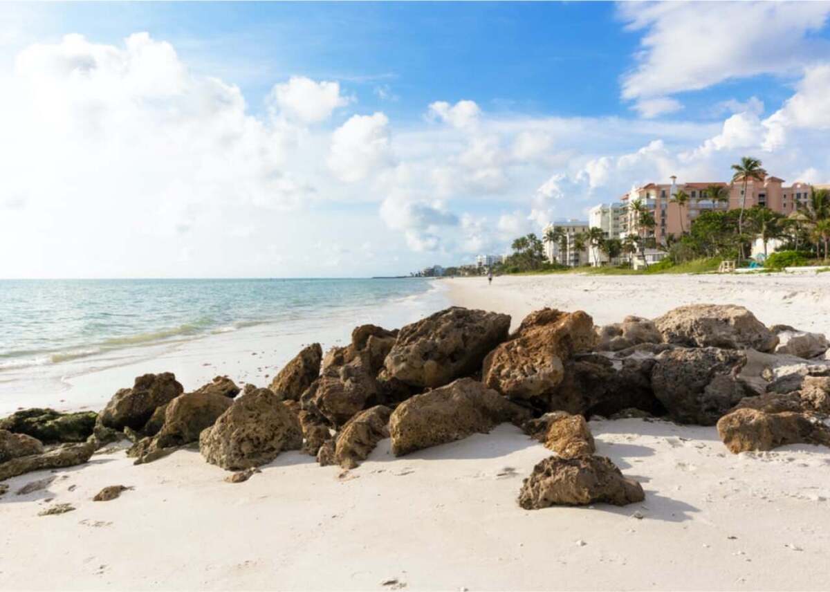  Pola Damonte // Shutterstock 