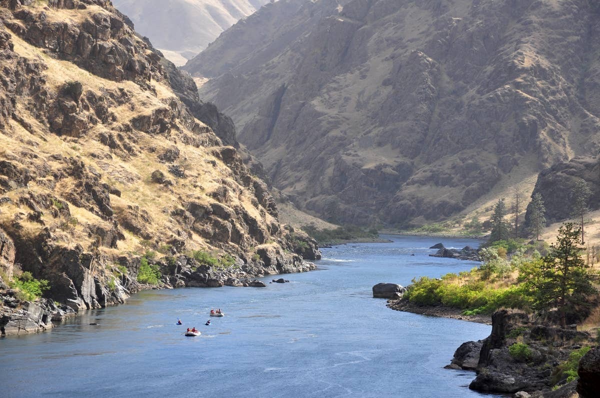  The Snake River shoreline in Oregon is where you'll see snakes in or near the water.