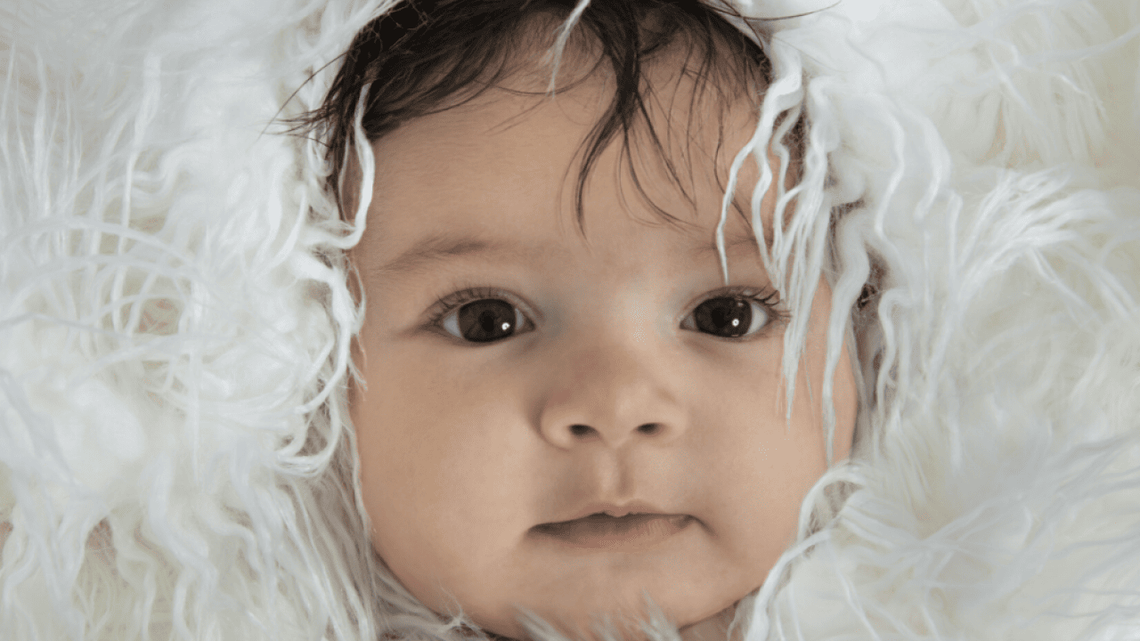  Fuller Photography // Shutterstock 