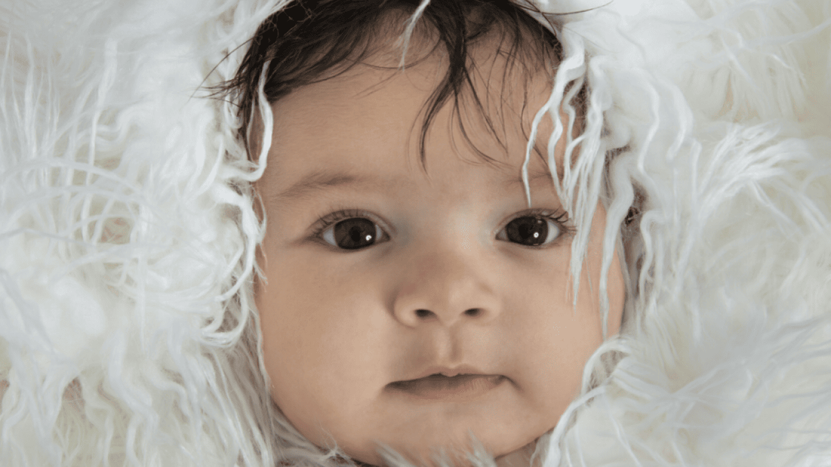  Fuller Photography // Shutterstock 