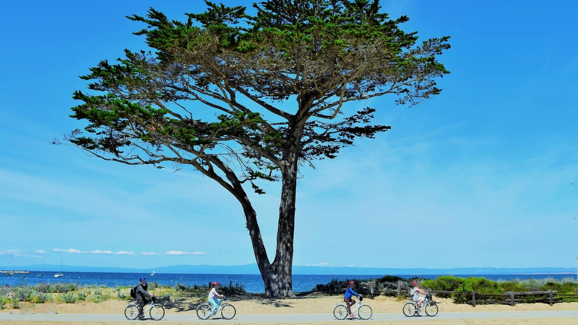Family travel 5: Bike trips