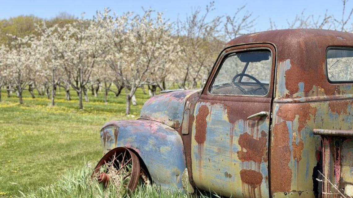 Spring in Door County is the Cherry Blossom Trip No One's Talking About-Yet 
