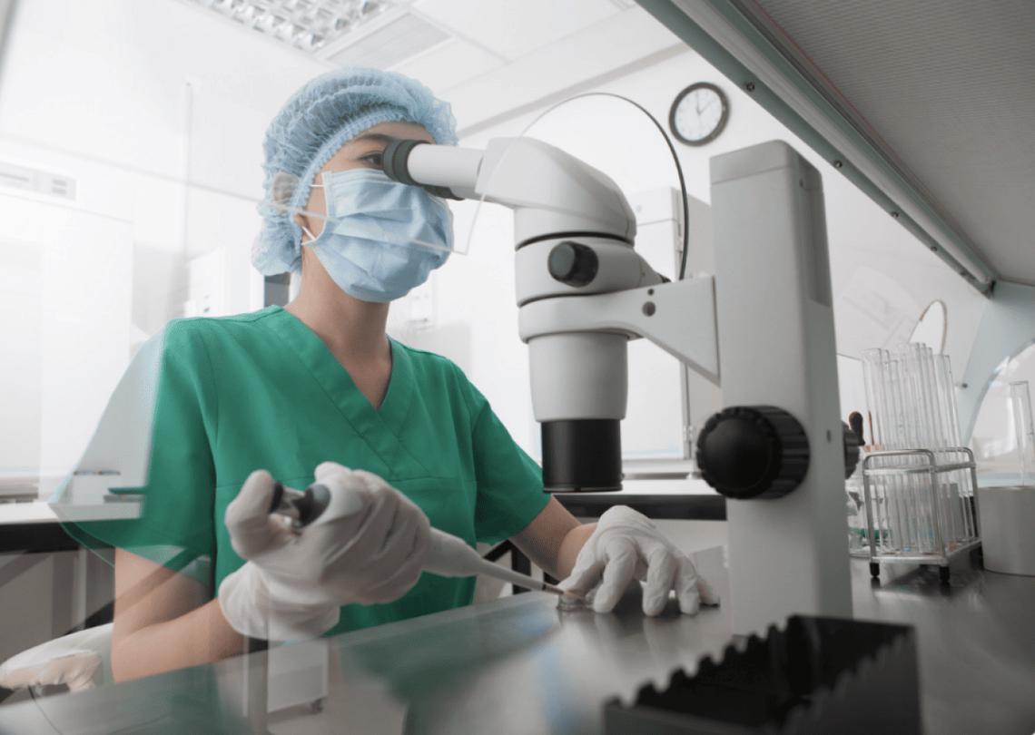  Dragon Images // Shutterstock 