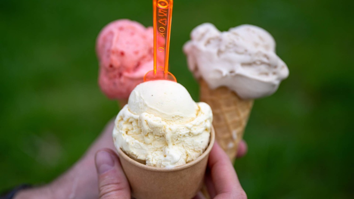 Snoop Dogg Paying $30K Just to Eat Ice Cream: Here's How You Can Apply for the Job 
