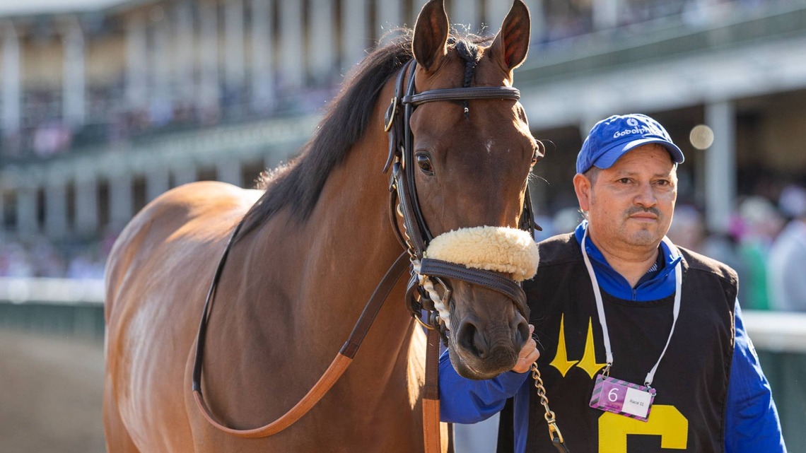 ‘She's Quirky': Godolphin's Hen Party Tries Dirt In Prioress 