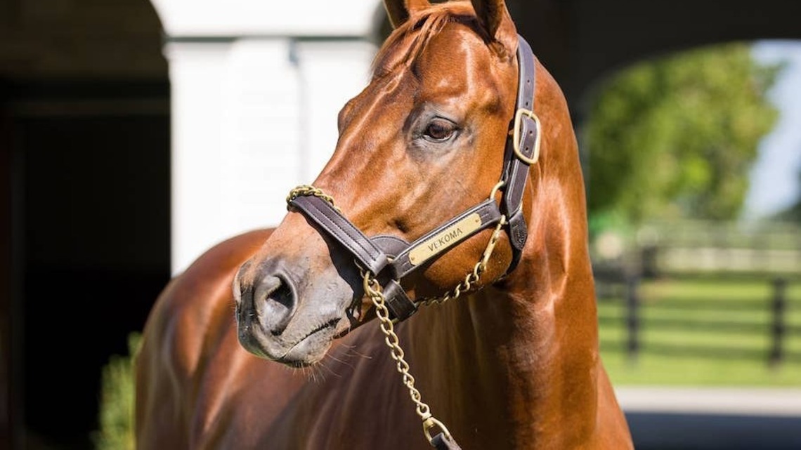 $260,000 Vekoma Colt High Seller Thursday At Keeneland September 