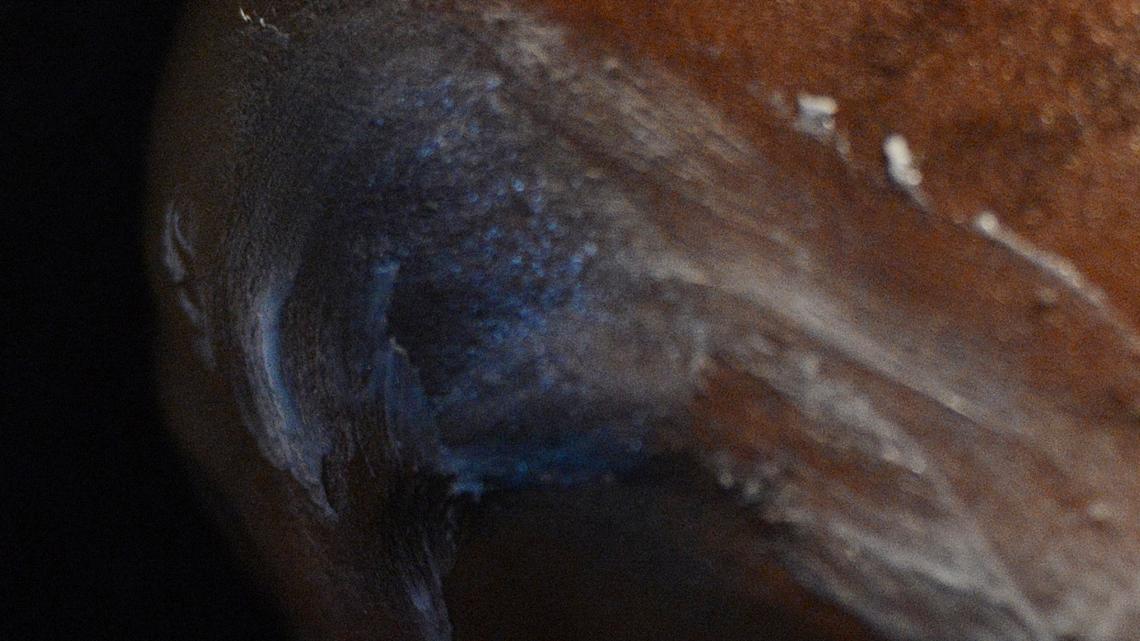 A Woman’s Guide to Skincare in Your 40s: Expert Tips for Smoother, Brighter, More Youthful-Looking Skin