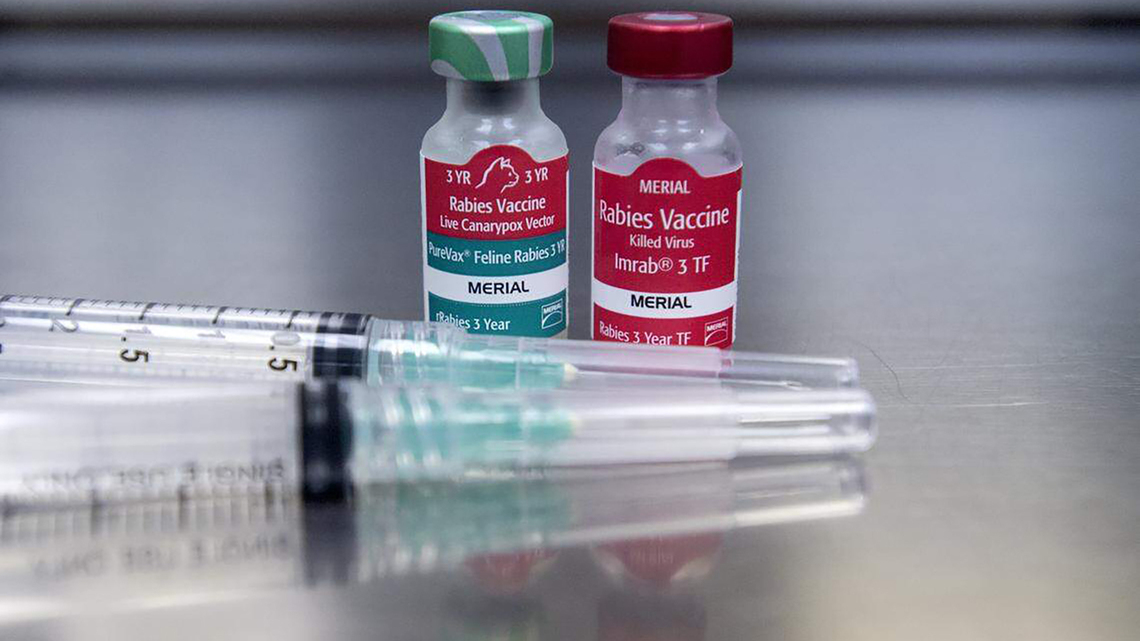 Maryland rabies cases spiked this summer. Experts can't pinpoint why 