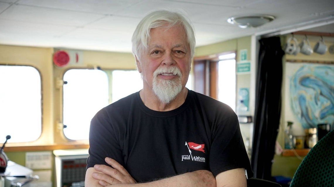 Captain Paul Watson Slams Iceland's ‘Modern-Day Captain Ahab' in Escalating Whaling Standoff 