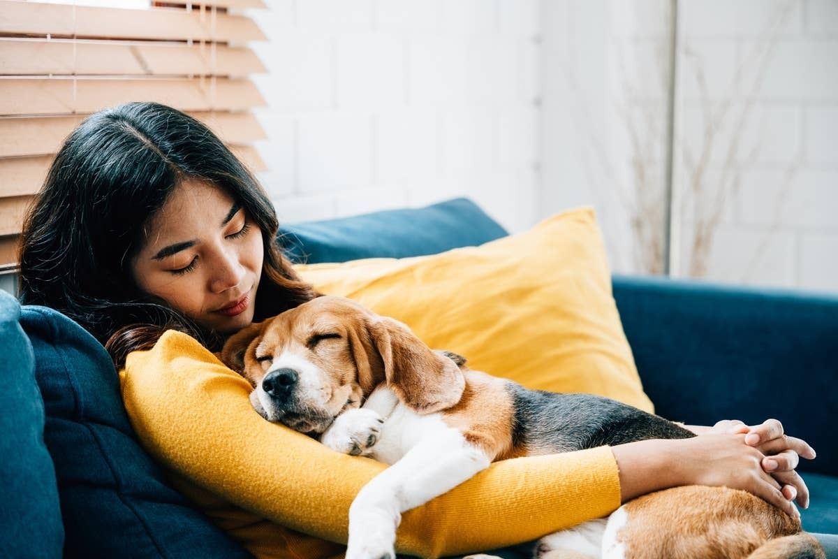  Dogs know they can always depend on their Capricorn or an Aquarius pet parents.