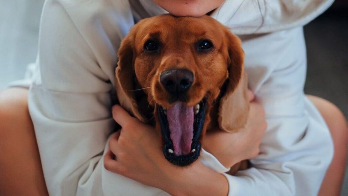 (Photo by Ivan Babydov via Pexels). 