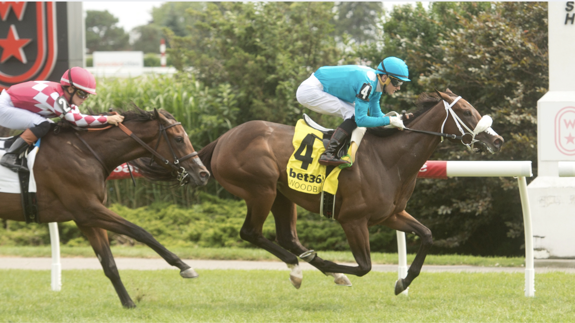 Flightline Filly Go For Launch Takes On Stakes Company In Bolton Landing 