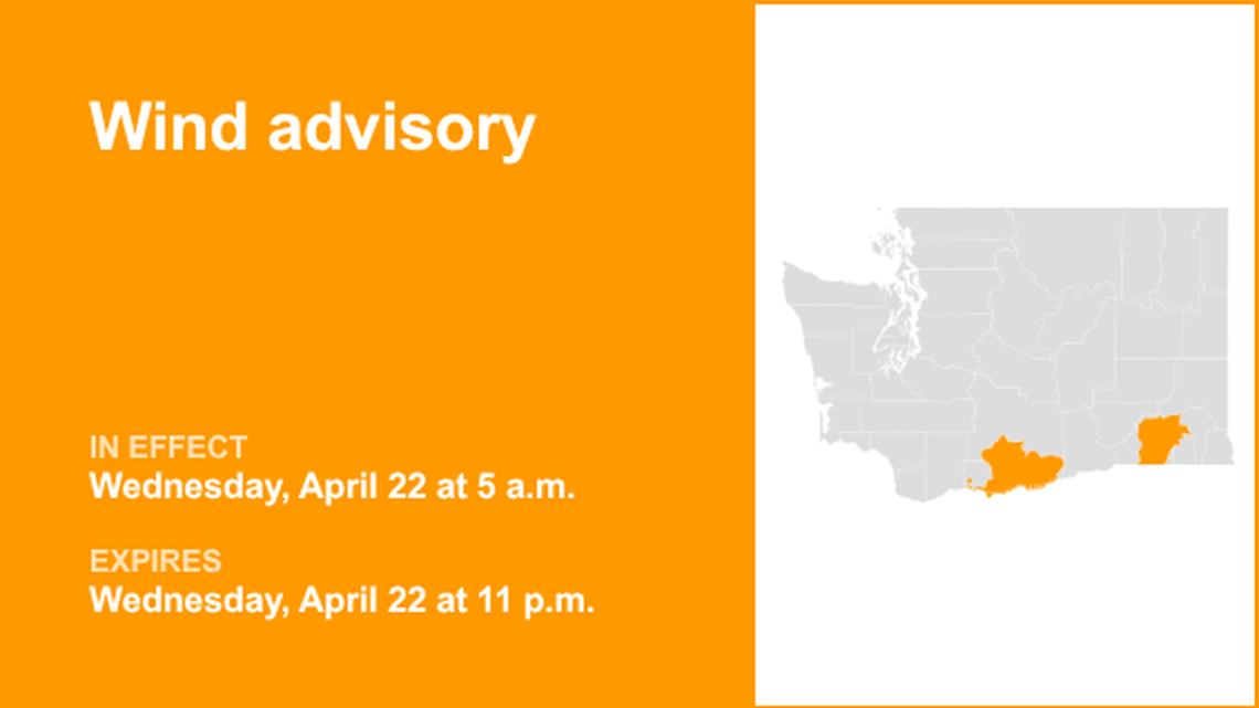 unitedrobots photography