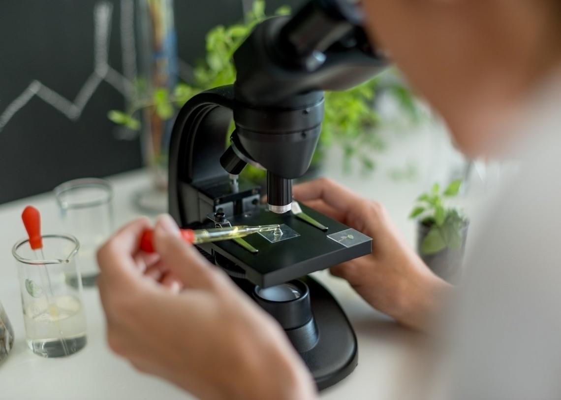  Stock Rocket // Shutterstock 