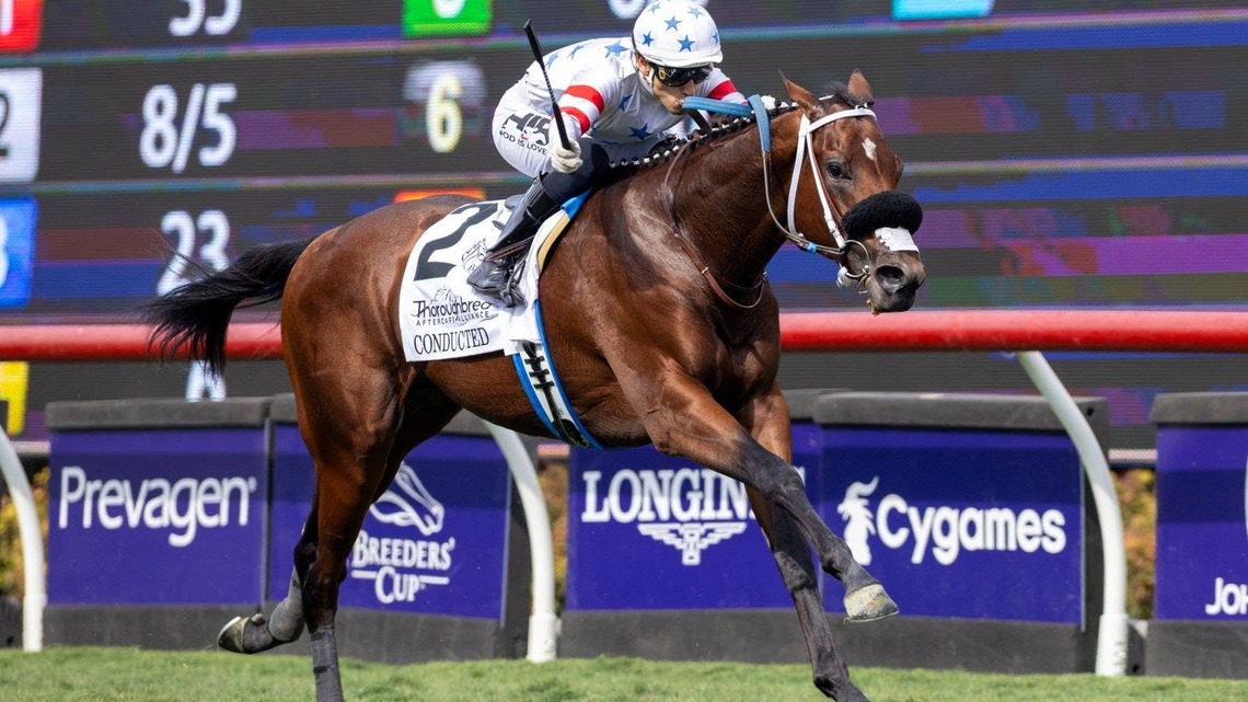 Thoroughbred Aftercare Alliance Returns As Official Aftercare Partner Of Breeders' Cup 