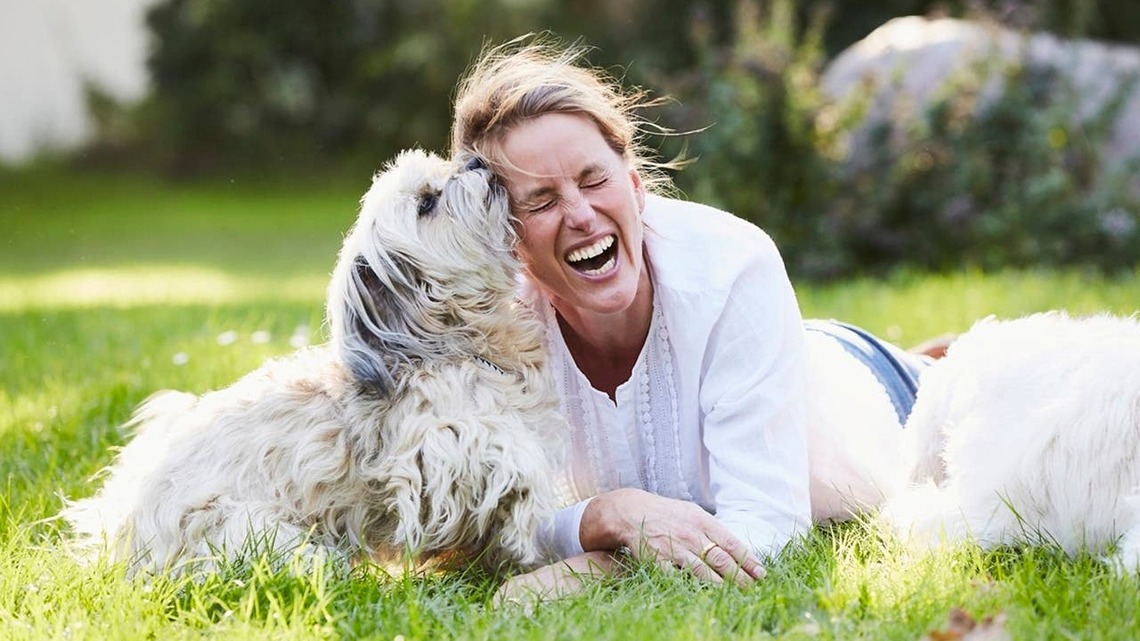 7 Companion Dog Breeds That Are Perfect for Empty Nesters Looking for a Best Friend 
