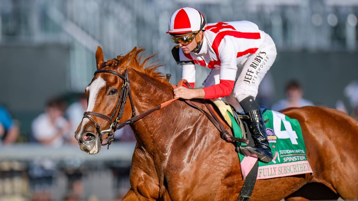Fully Subscribed Easy Winner Of Spinster 