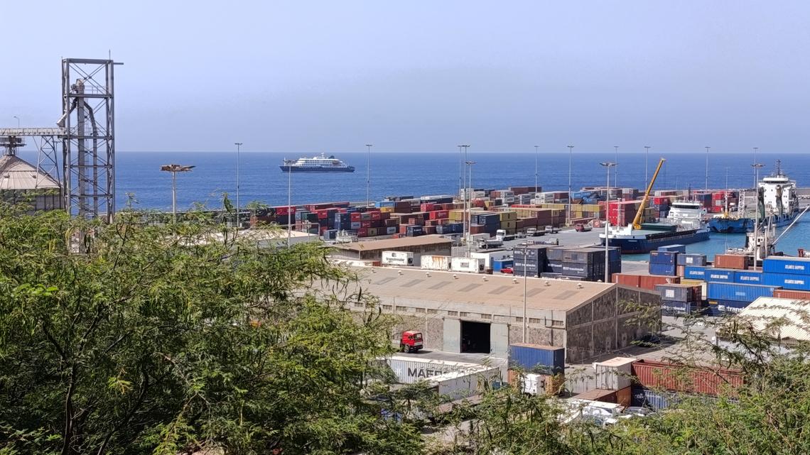 Explainer-What is the hantavirus that killed three cruise ship passengers? 