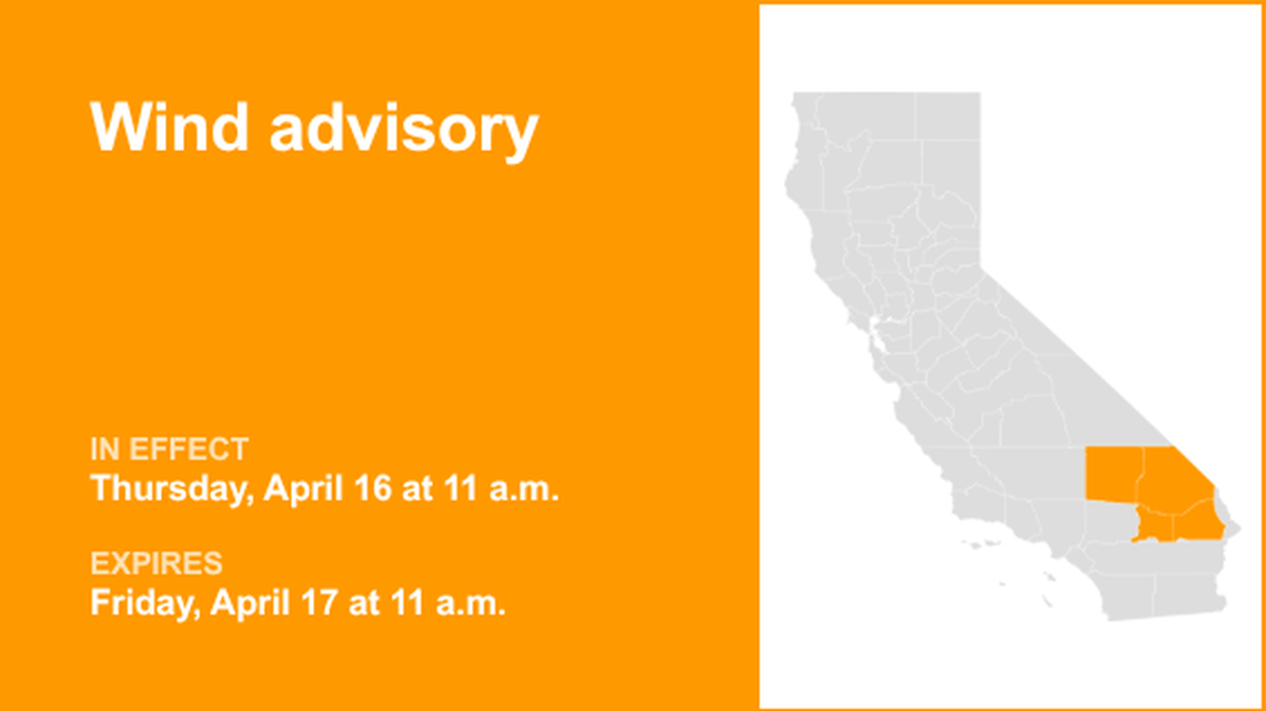 unitedrobots photography