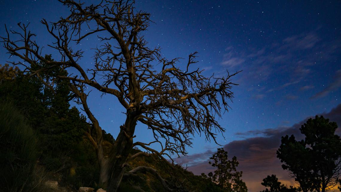 Colorado's darkest skies and where to camp under them 