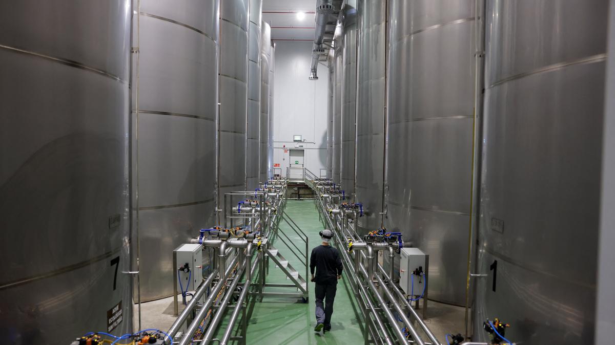 A worker walks between tanks filled with olive oil at the Spanish olive oil producer Dcoop's factory in Antequera, Spain, April 9, 2025. REUTERS/Jon Nazca