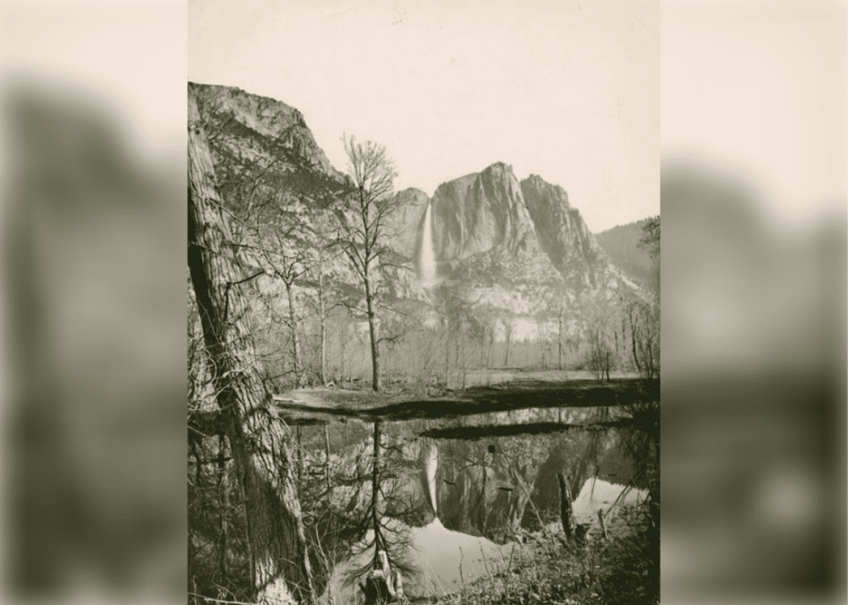  Galloway, Ewing // New York Public Library 