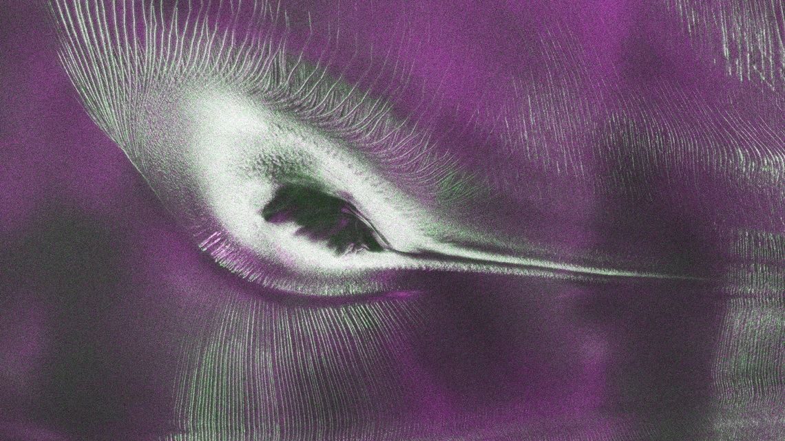 This satellite image of a 'hummingbird' isn't what you think