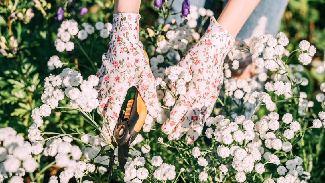 Do These 5 Things Now for a Gorgeous Yard All Summer 
