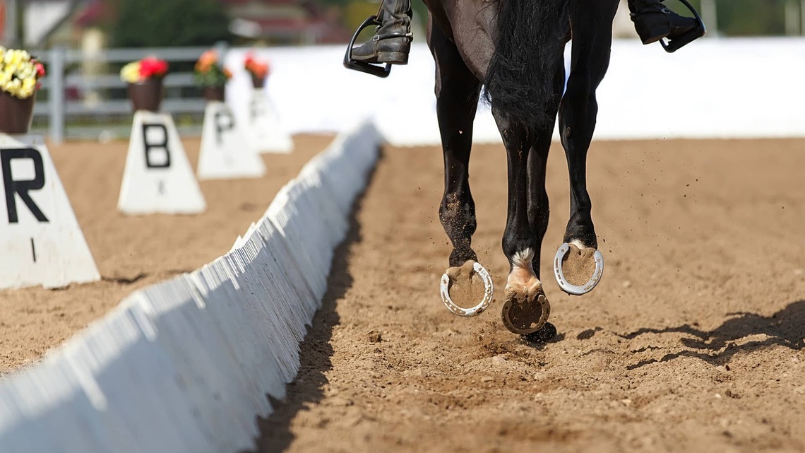 2026 T.I.P. Championships To Kick Off With Trail, Dressage, Ranch, And Hunter 