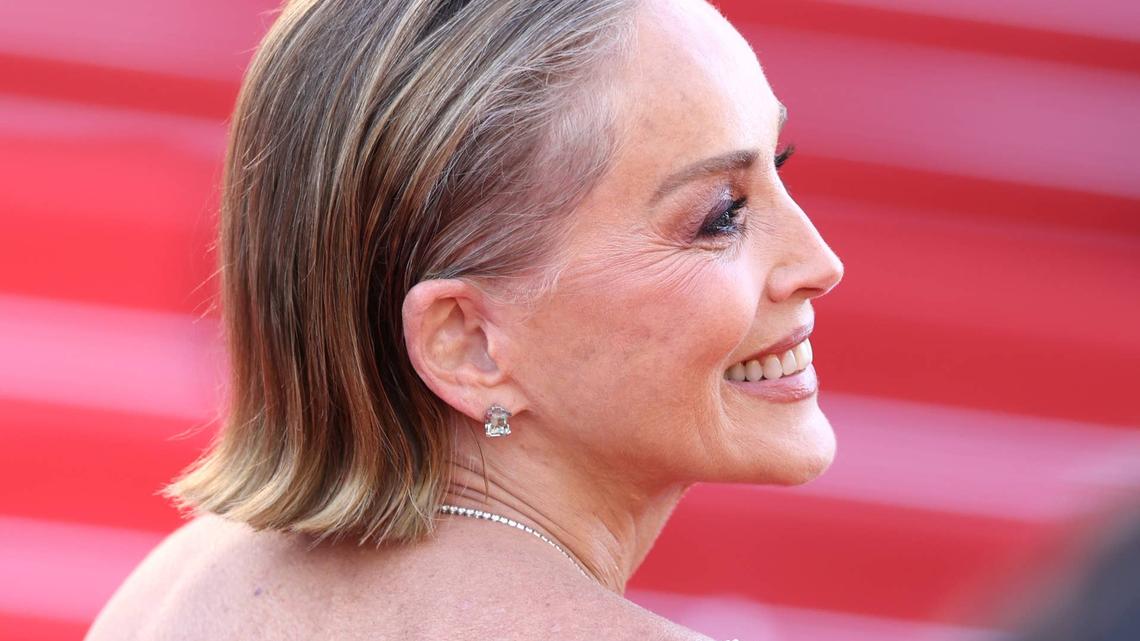 Sharon Stone Makes a Dazzling Return to the Red Carpet After Announcing Devastating Loss Last Week 