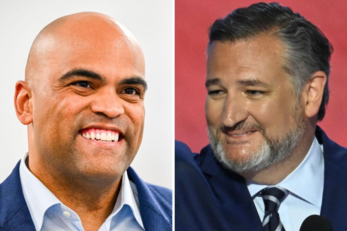 Ted Cruz and Colin Allred.