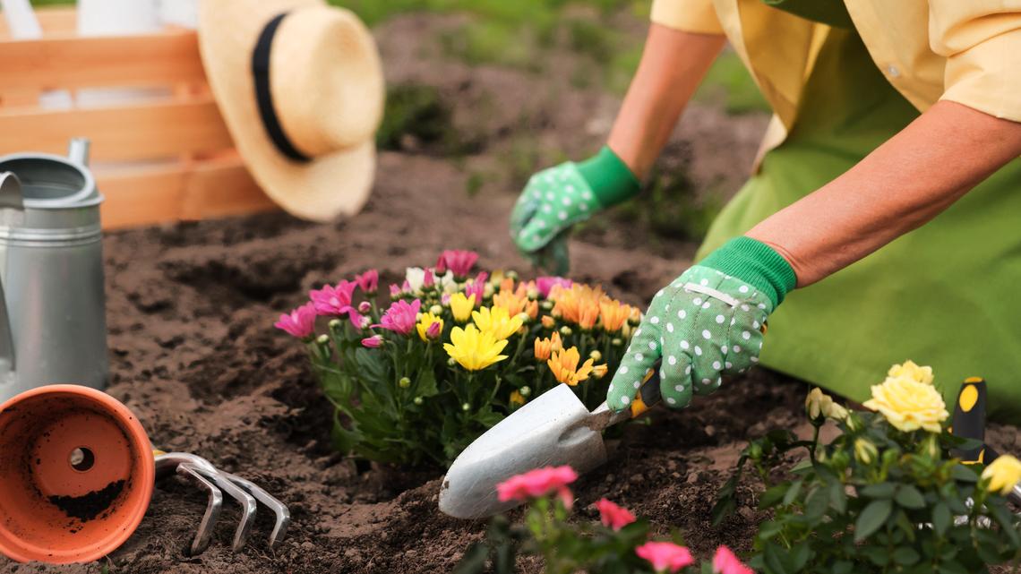 40+ Gardening Essentials On Sale for Up to 50% Off During Amazon's Big Spring Sale 