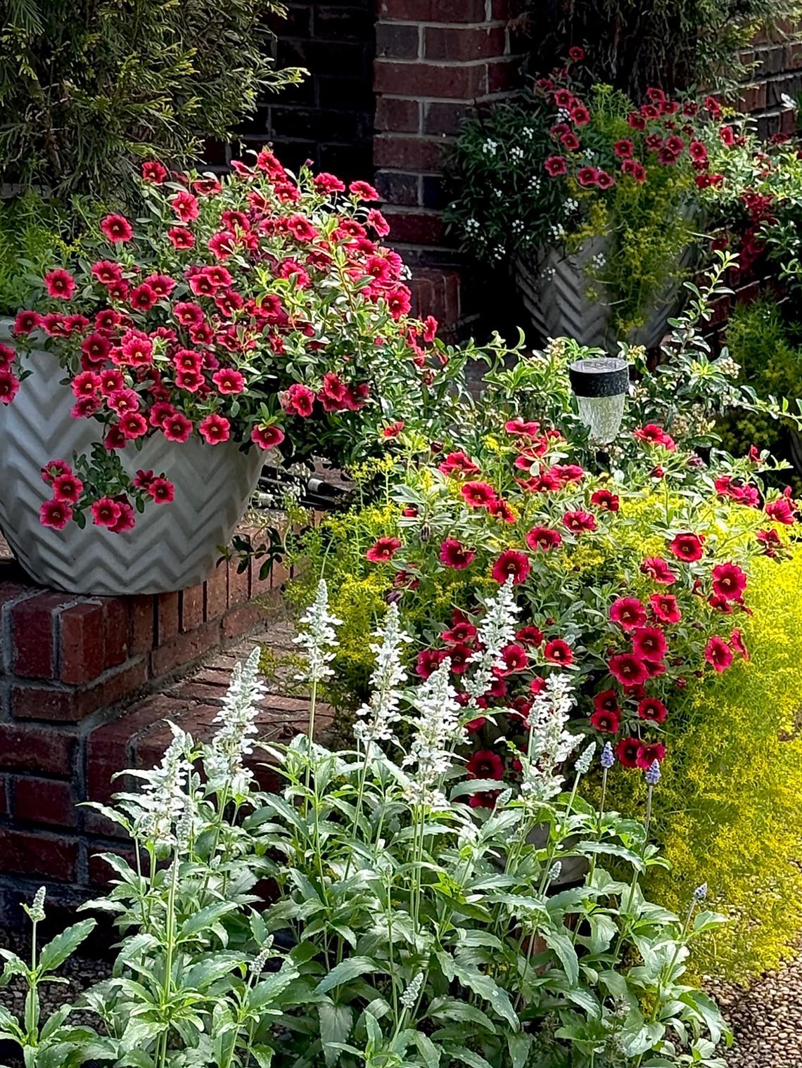 Norman Winter/Norman Winter/TNS