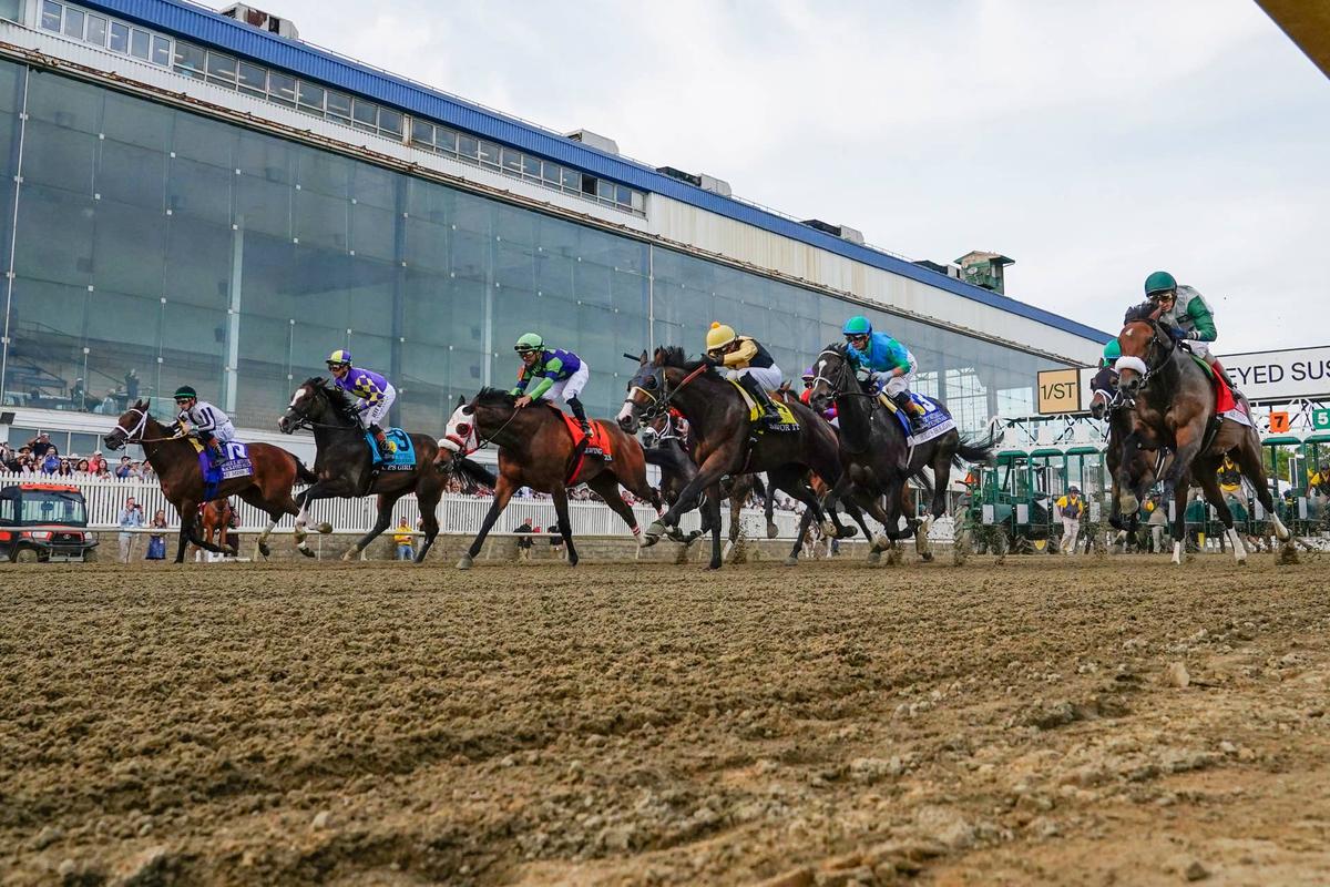  The horse field break the starting gate during race 13, the George E. Mitchell Black-Eyed Susan Stakes at Laurel Park. Gregory Fisher-Imagn Images